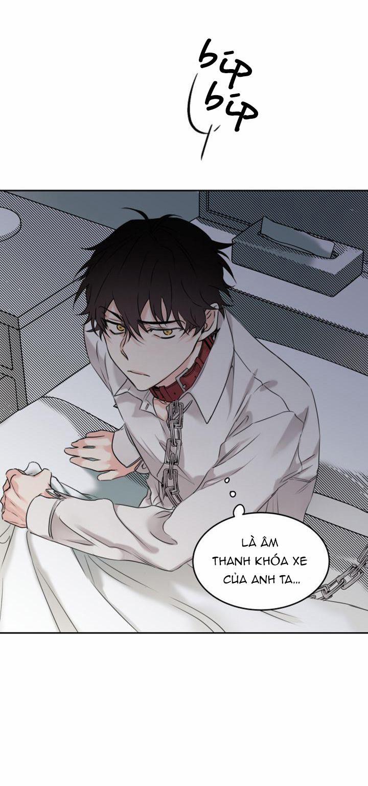 May Belongs To Me 5 trang 50