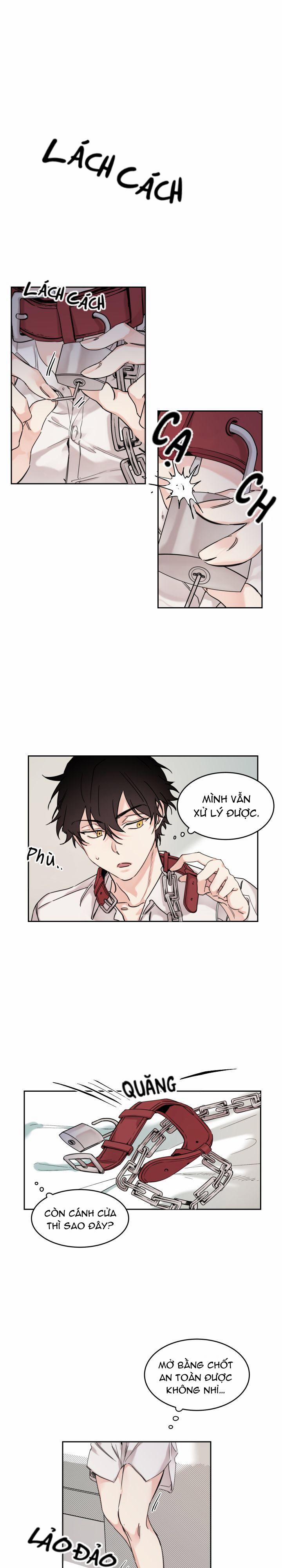 May Belongs To Me 6 trang 0