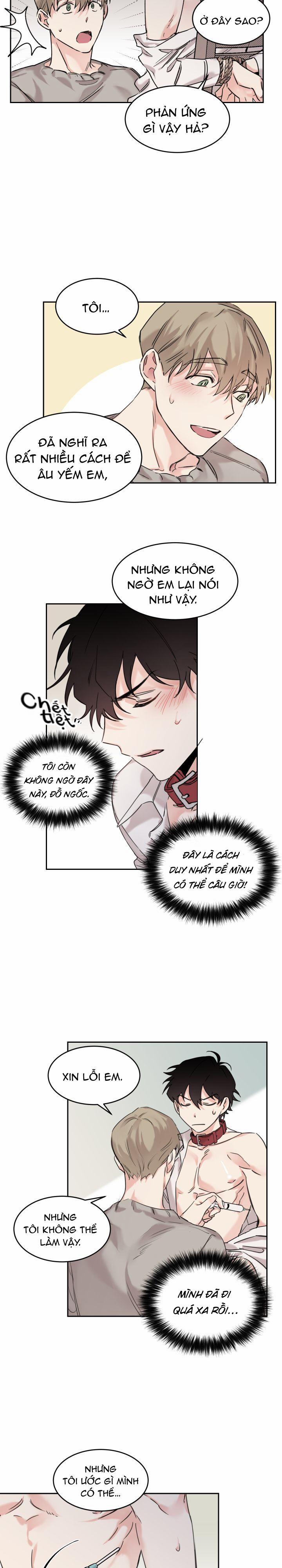 May Belongs To Me 7 trang 1