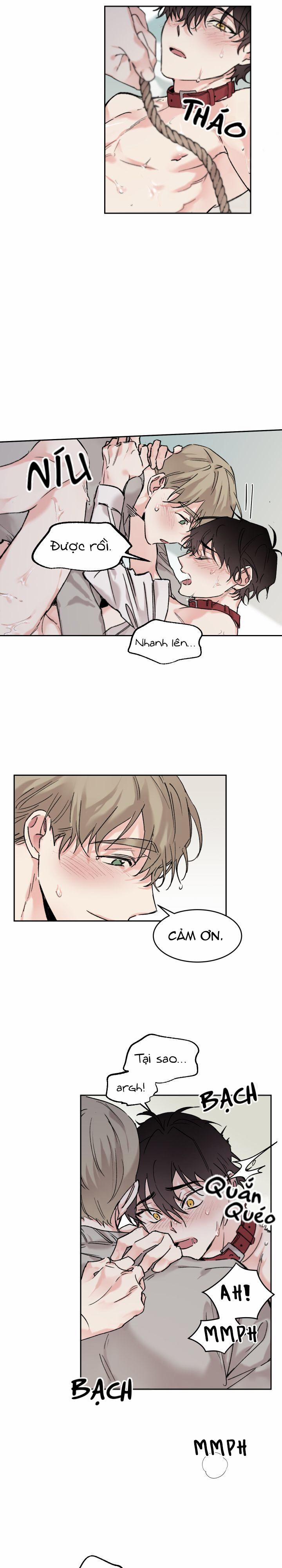 May Belongs To Me 8 trang 8