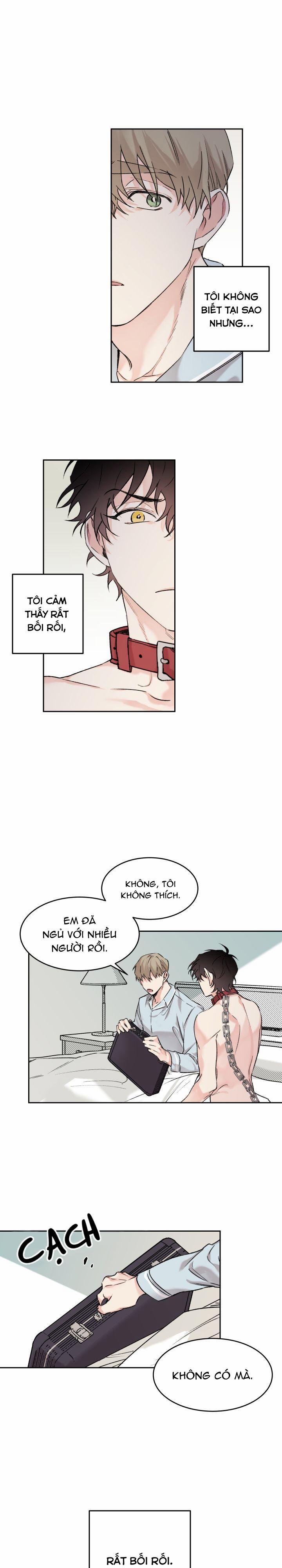 May Belongs To Me 9 trang 0