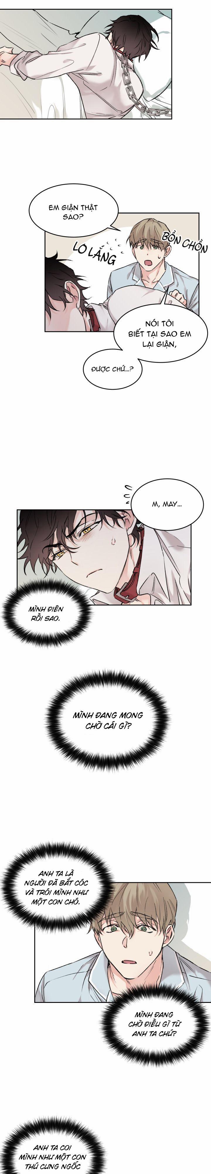 May Belongs To Me 9 trang 2