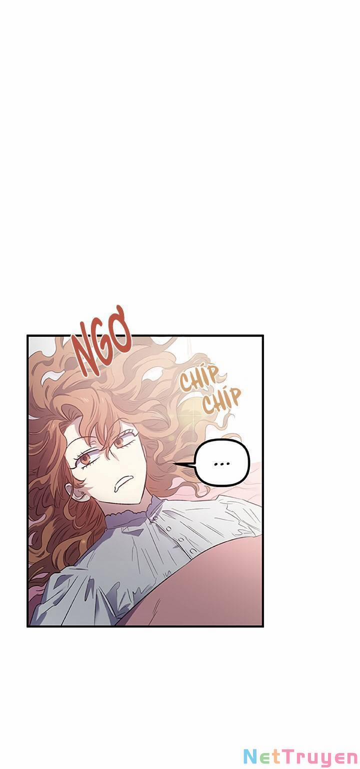 May Mắn Hay Bất Hạnh 17 trang 0