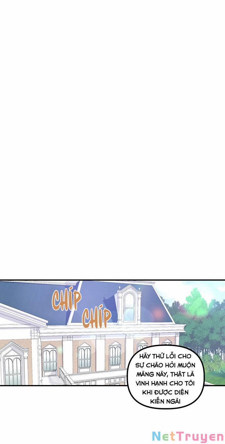 May Mắn Hay Bất Hạnh 18 trang 0