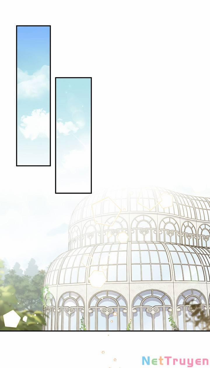 May Mắn Hay Bất Hạnh 41 trang 1