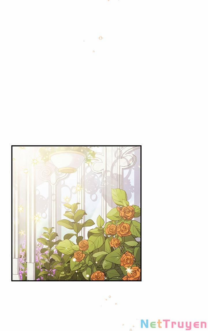 May Mắn Hay Bất Hạnh 41 trang 2