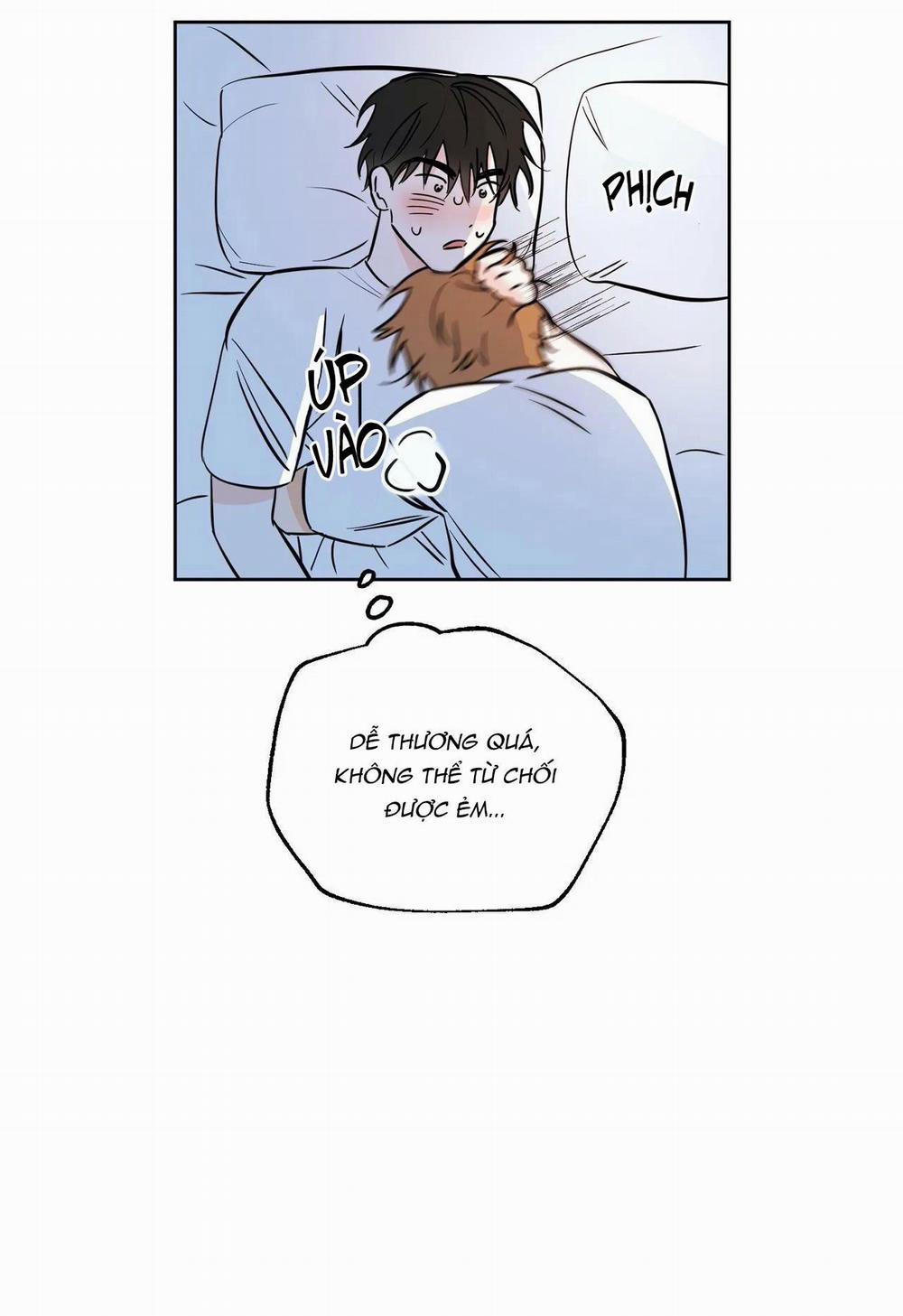 MAY MẮN NƠI THIÊN ĐƯỜNG 10 trang 37