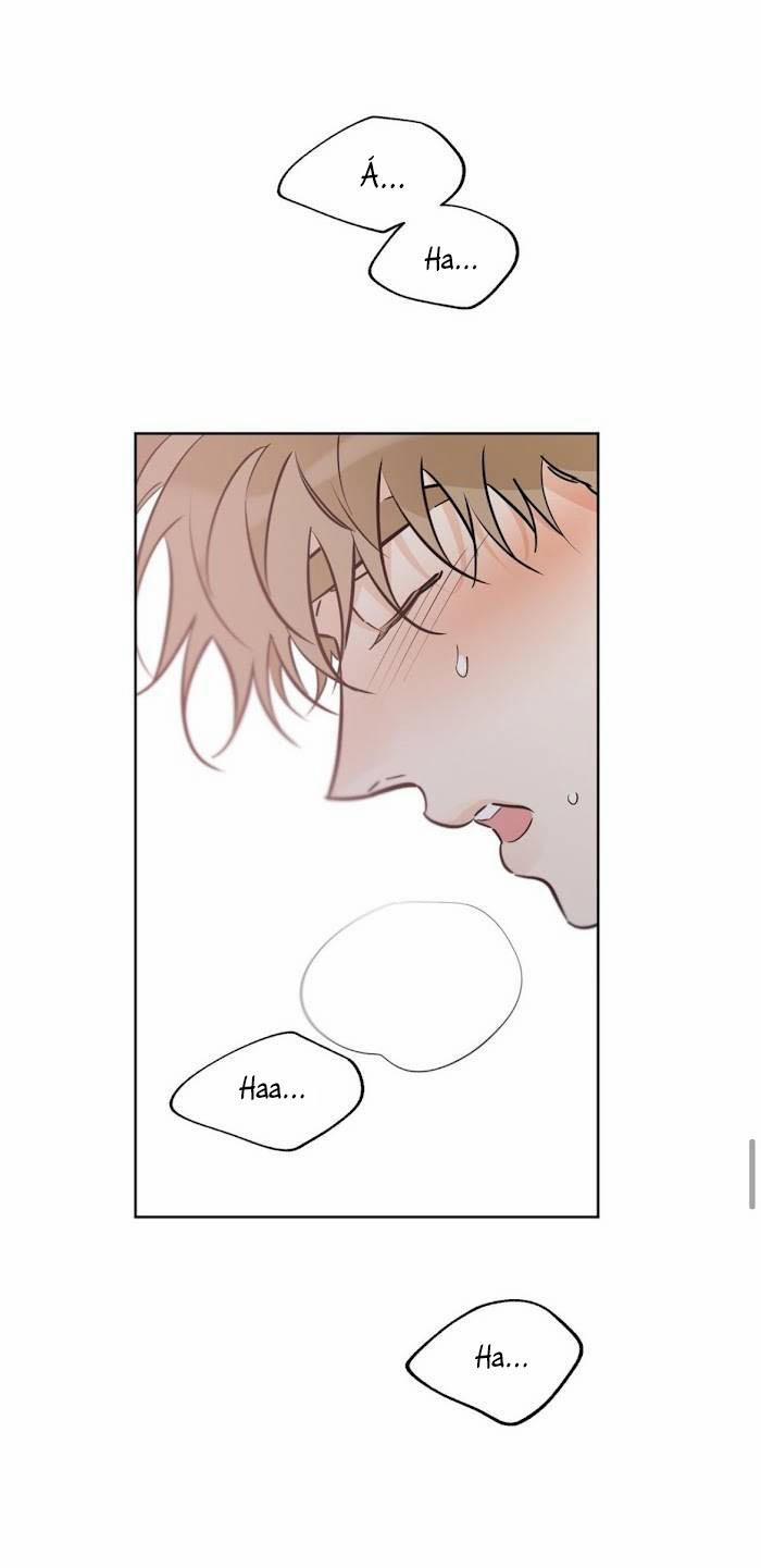 MAY MẮN NƠI THIÊN ĐƯỜNG 39 trang 44