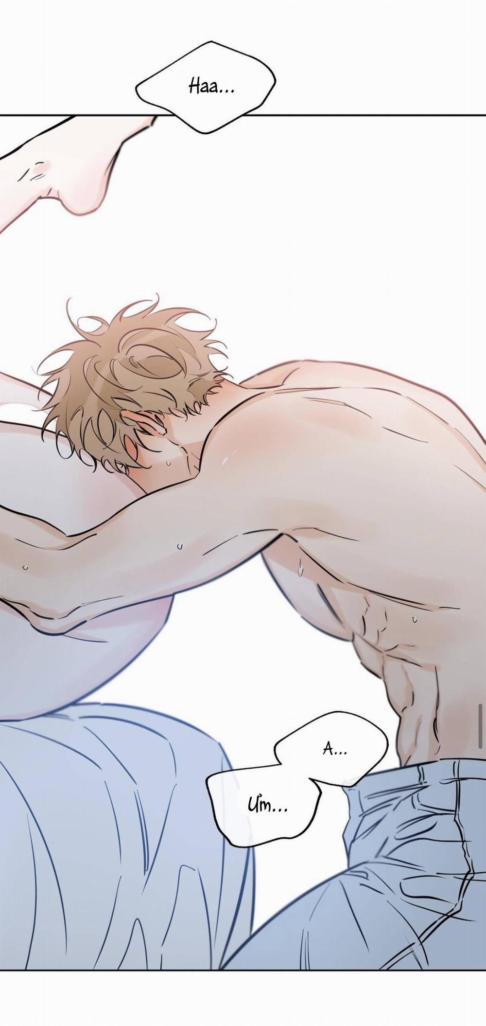 MAY MẮN NƠI THIÊN ĐƯỜNG 40 trang 42