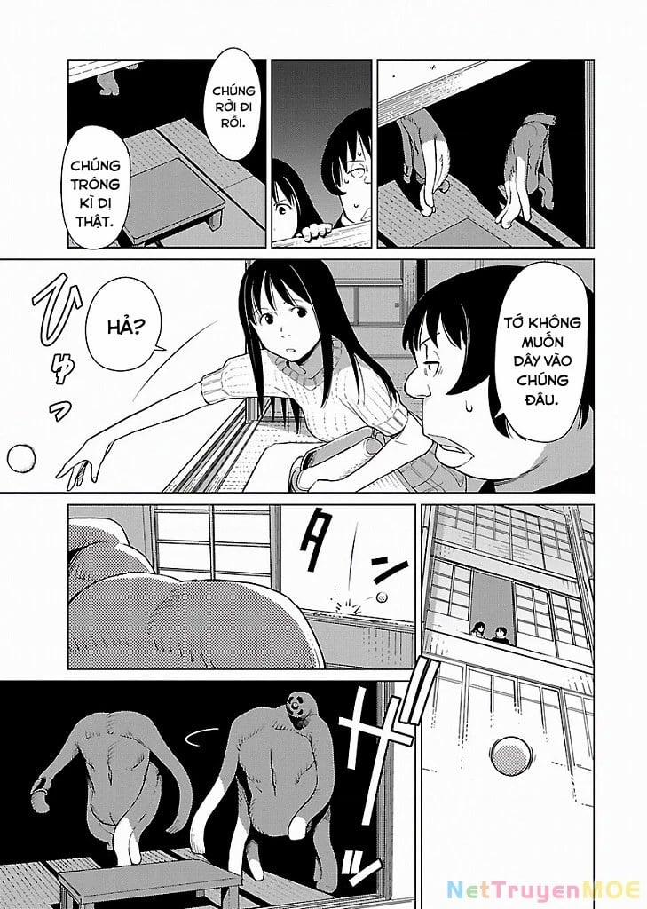 Mê Cung Triệu Chiếu 7 trang 15