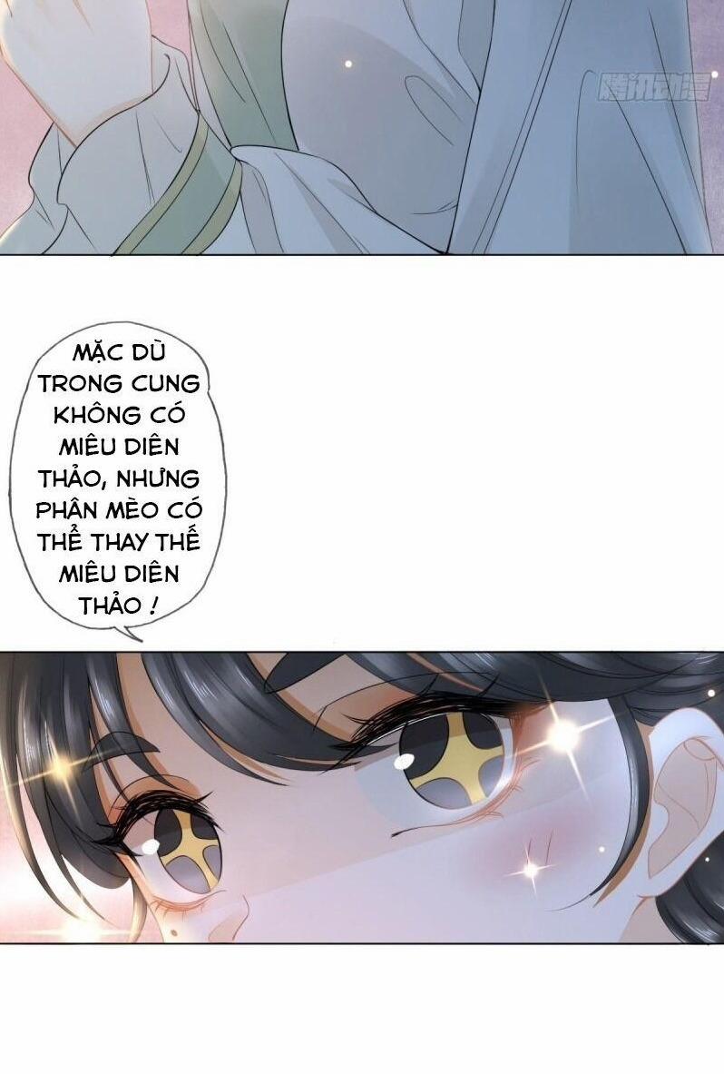 Mê Hoặc Lòng Người 15 trang 12