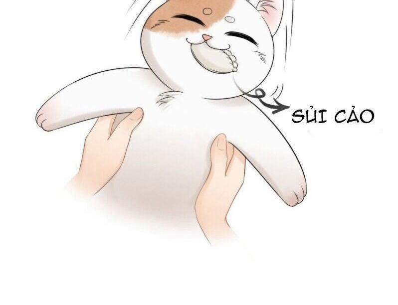 Mê Hoặc Lòng Người 17 trang 36