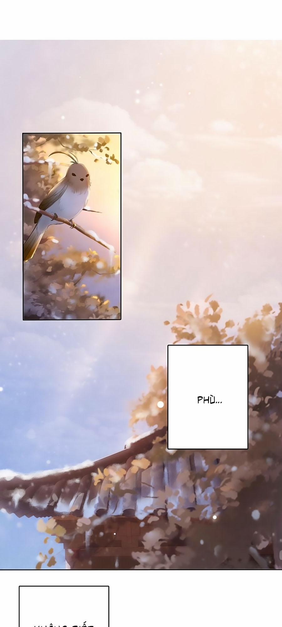 Mê Hoặc Lòng Người 20 trang 0