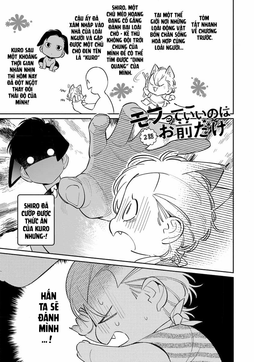 Mềm Mại Xinh Đẹp Đều Là Em 2 trang 1