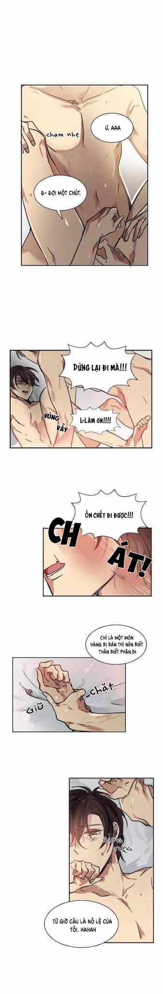 Mệnh Lệnh 11 trang 0