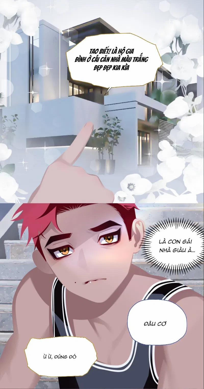 Mệnh Lệnh 26 trang 5