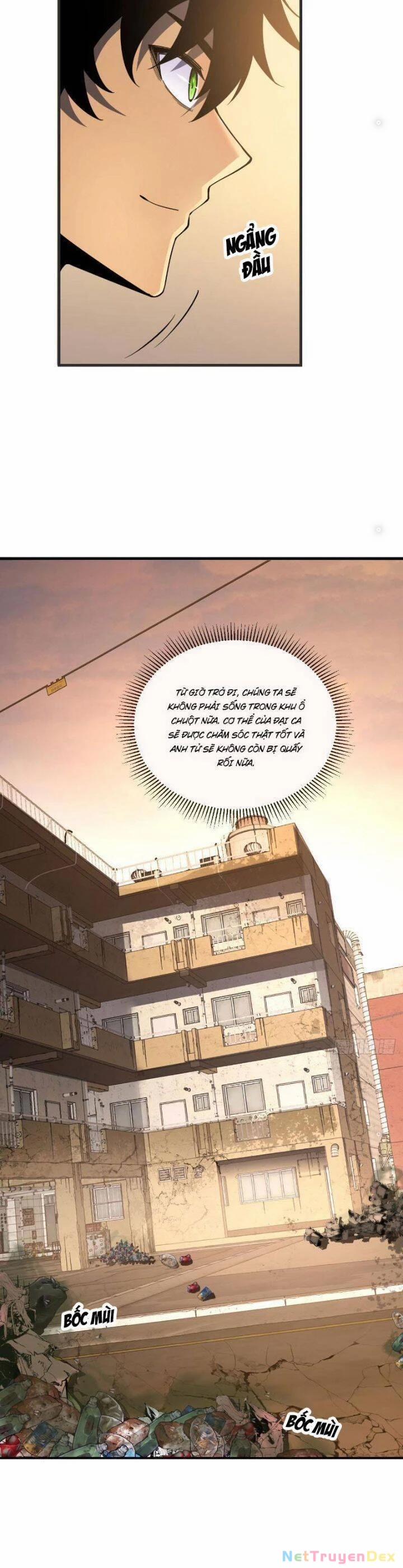 Mệnh Luân Chi Chủ! Khi Dị Biến Giáng Lâm Nhân Gian! 20 trang 8