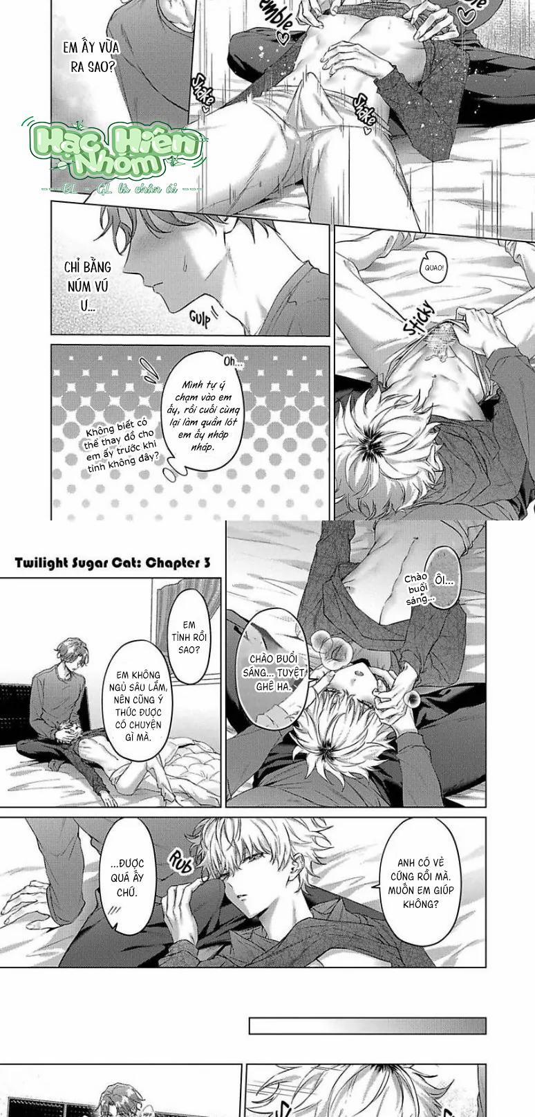 Mèo Con Ngọt Ngào Lúc Chạng Vạng 4 Hachiennhom trang 6