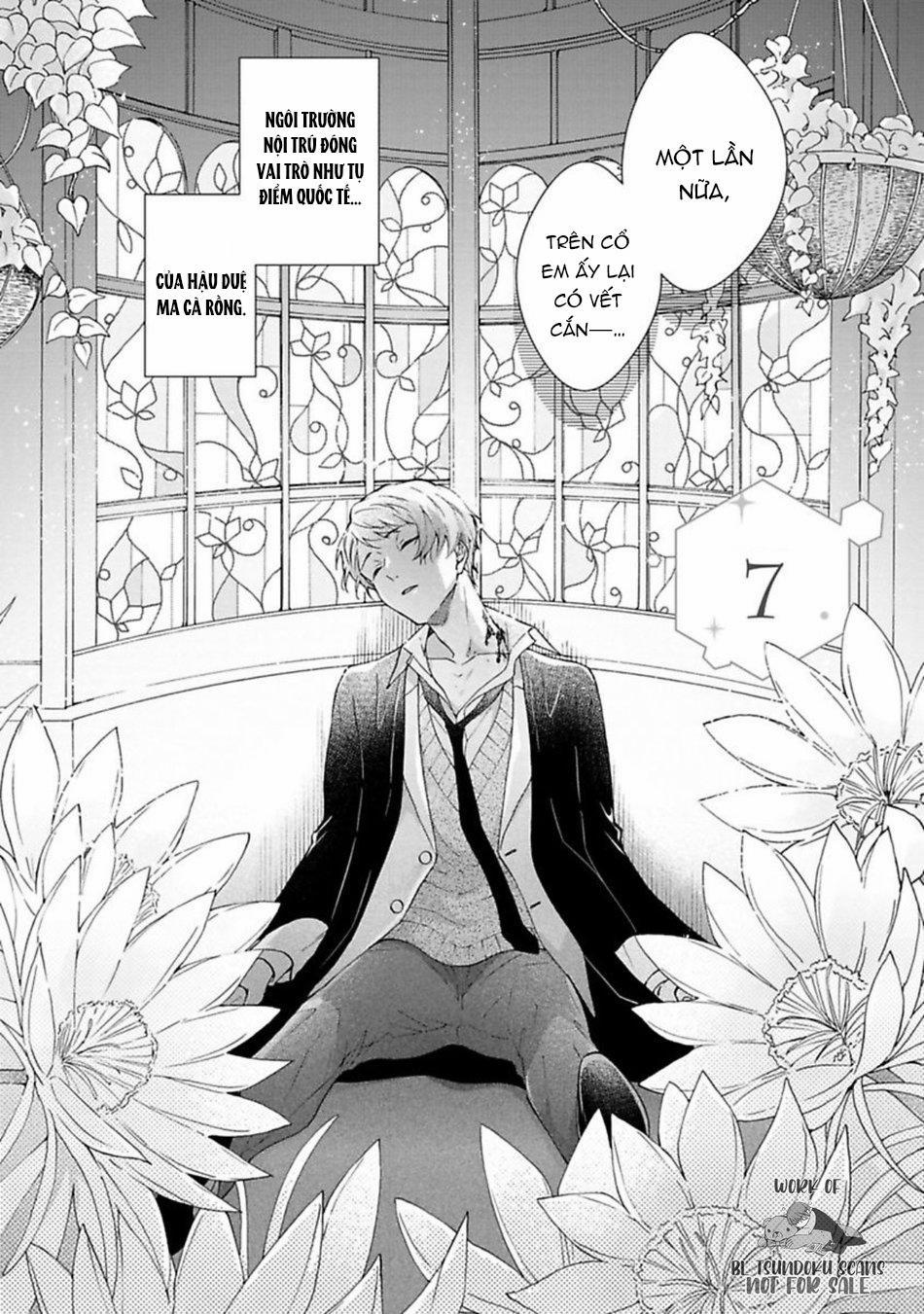 Mèo Đen Kí Túc, Mịt Mù Đêm Đen 7 trang 5