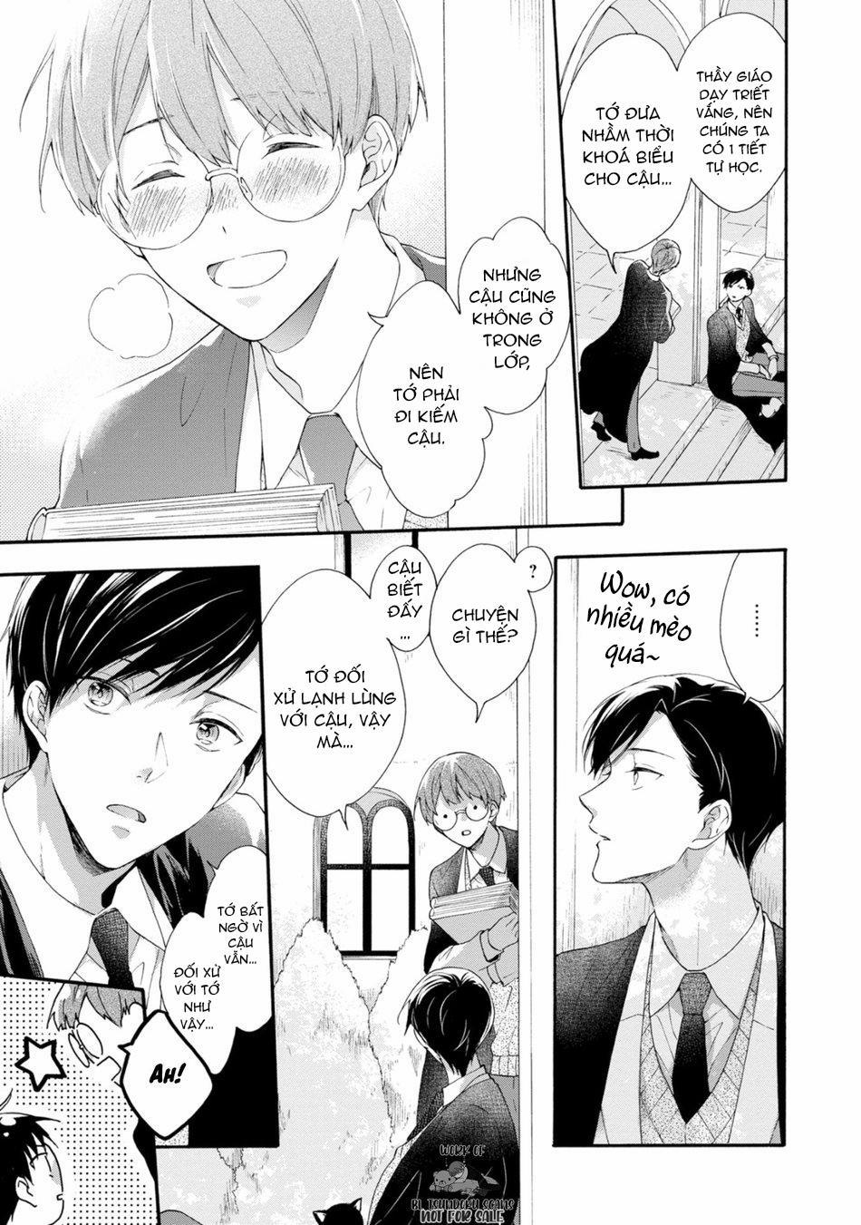 Mèo Đen Kí Túc, Mịt Mù Đêm Đen 8 trang 12