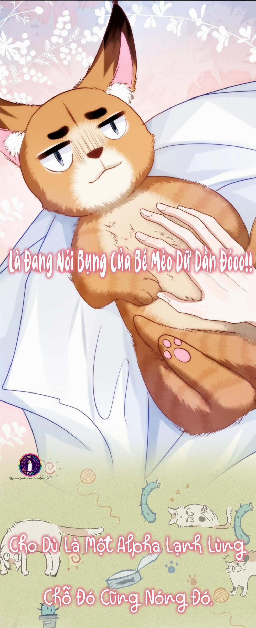 Mèo Hoang Nhỏ Của Học Bá Quá Trêu Người (END) 0 trang 15