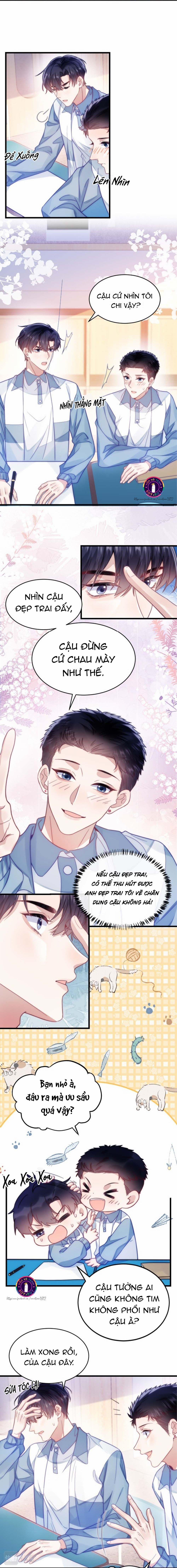 Mèo Hoang Nhỏ Của Học Bá Quá Trêu Người (END) 14 trang 7