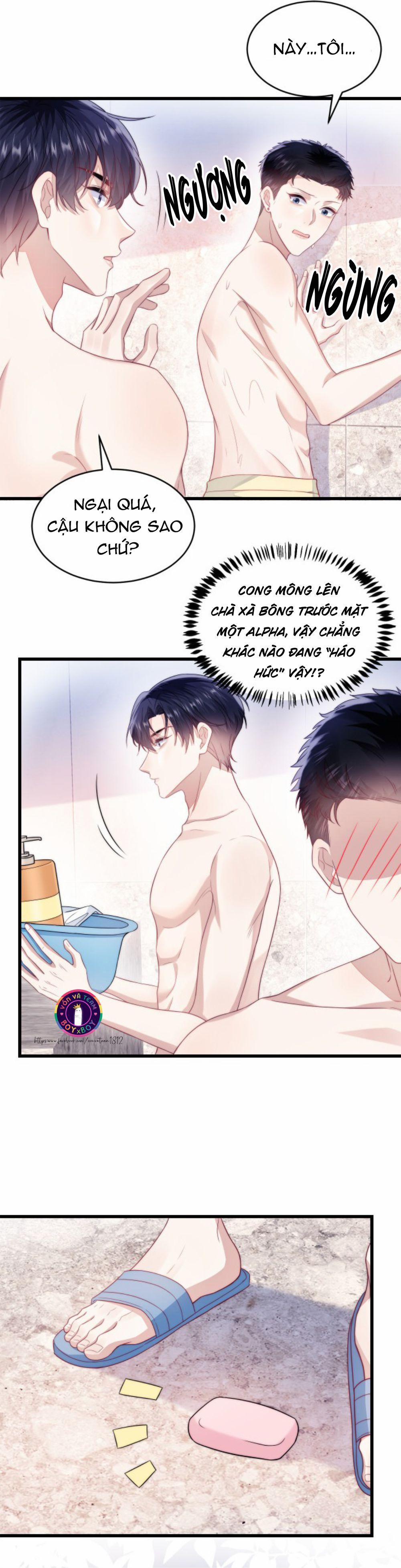 Mèo Hoang Nhỏ Của Học Bá Quá Trêu Người (END) 15 trang 11