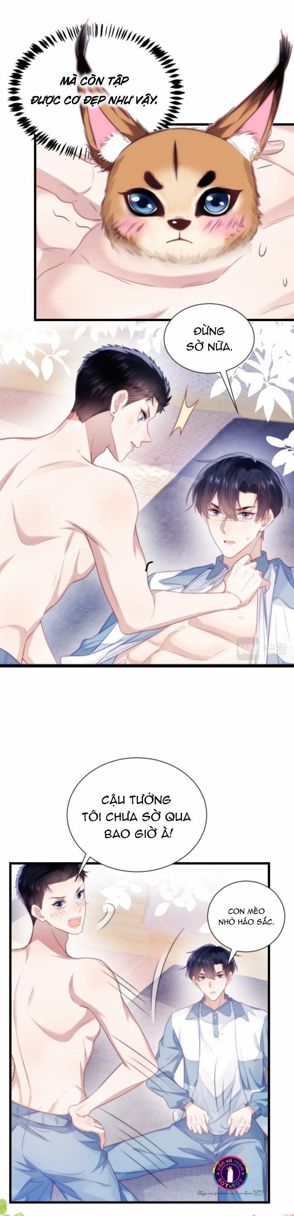 Mèo Hoang Nhỏ Của Học Bá Quá Trêu Người (END) 15 trang 8