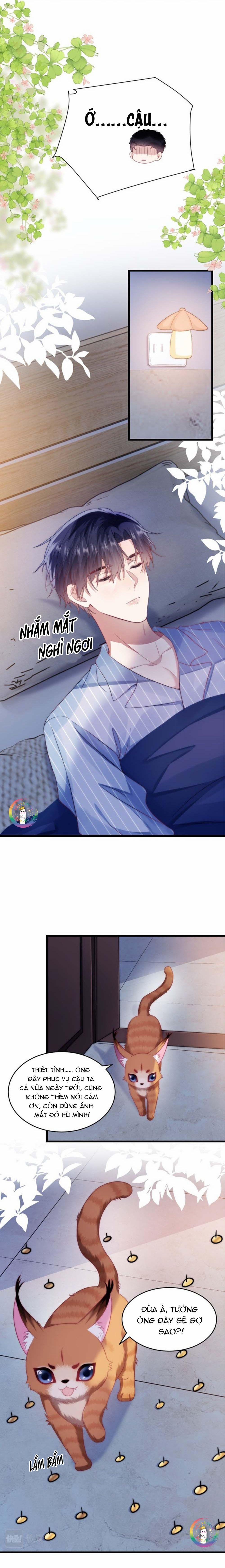 Mèo Hoang Nhỏ Của Học Bá Quá Trêu Người (END) 16 trang 3