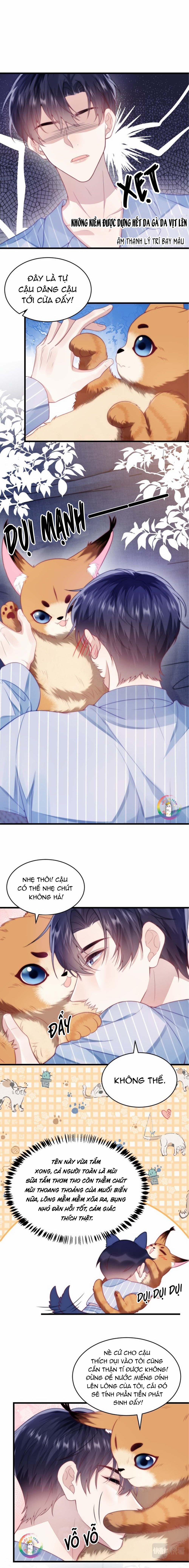 Mèo Hoang Nhỏ Của Học Bá Quá Trêu Người (END) 16 trang 5