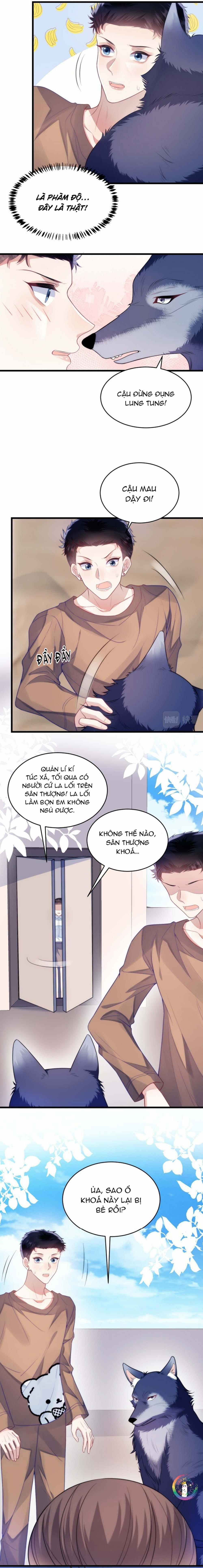 Mèo Hoang Nhỏ Của Học Bá Quá Trêu Người (END) 19 trang 4