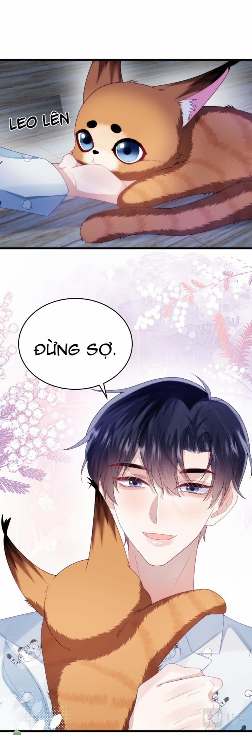 Mèo Hoang Nhỏ Của Học Bá Quá Trêu Người (END) 28 trang 16