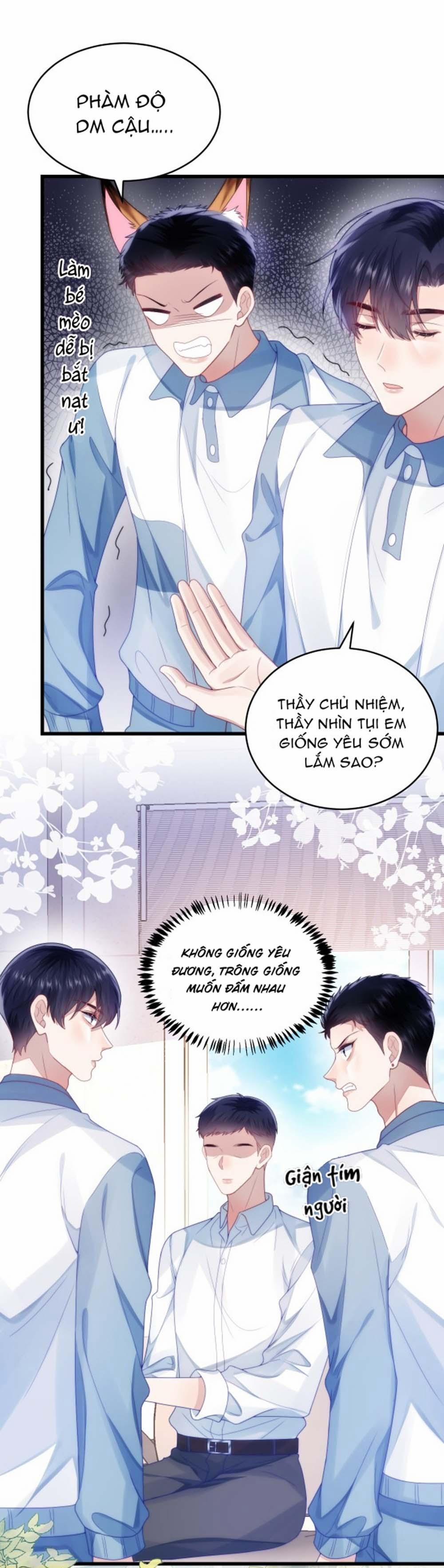 Mèo Hoang Nhỏ Của Học Bá Quá Trêu Người (END) 30 trang 13