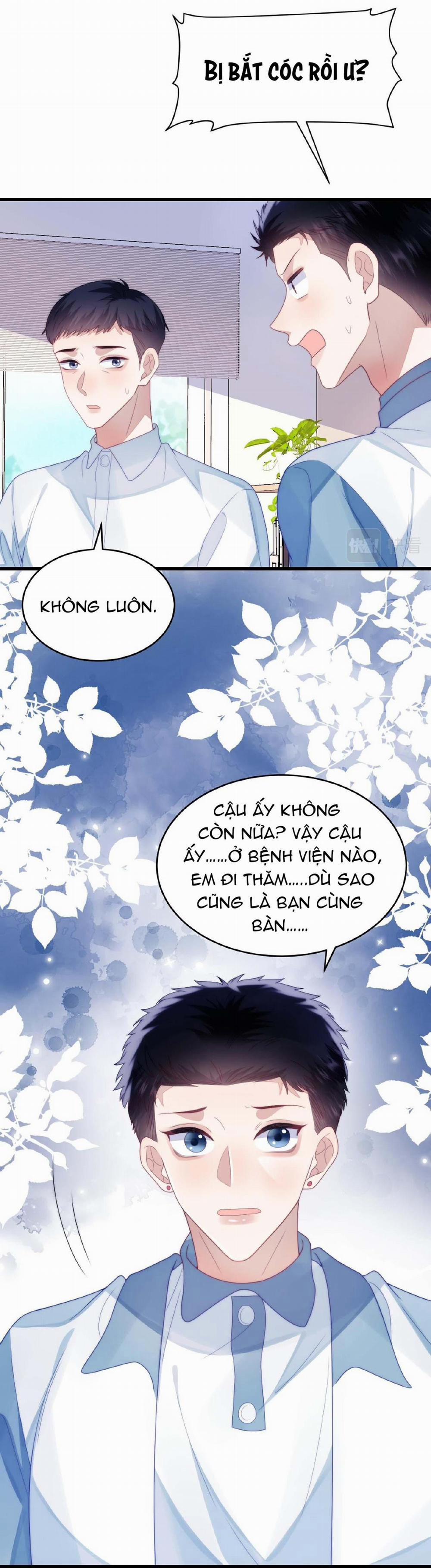 Mèo Hoang Nhỏ Của Học Bá Quá Trêu Người (END) 32 trang 11