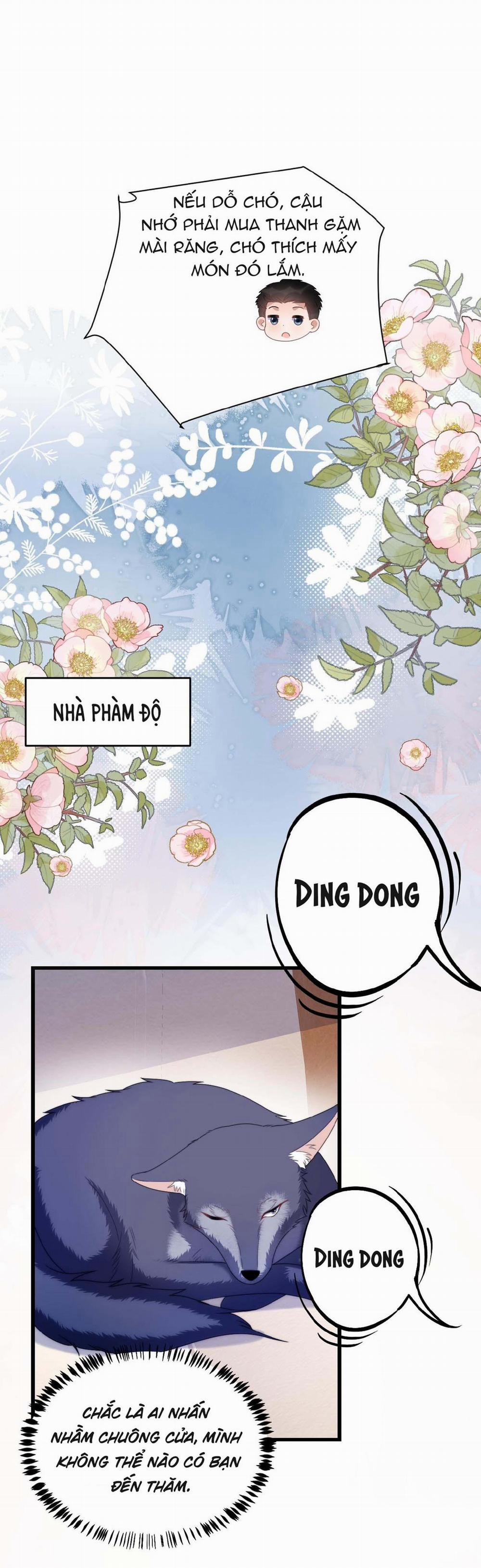 Mèo Hoang Nhỏ Của Học Bá Quá Trêu Người (END) 32 trang 15