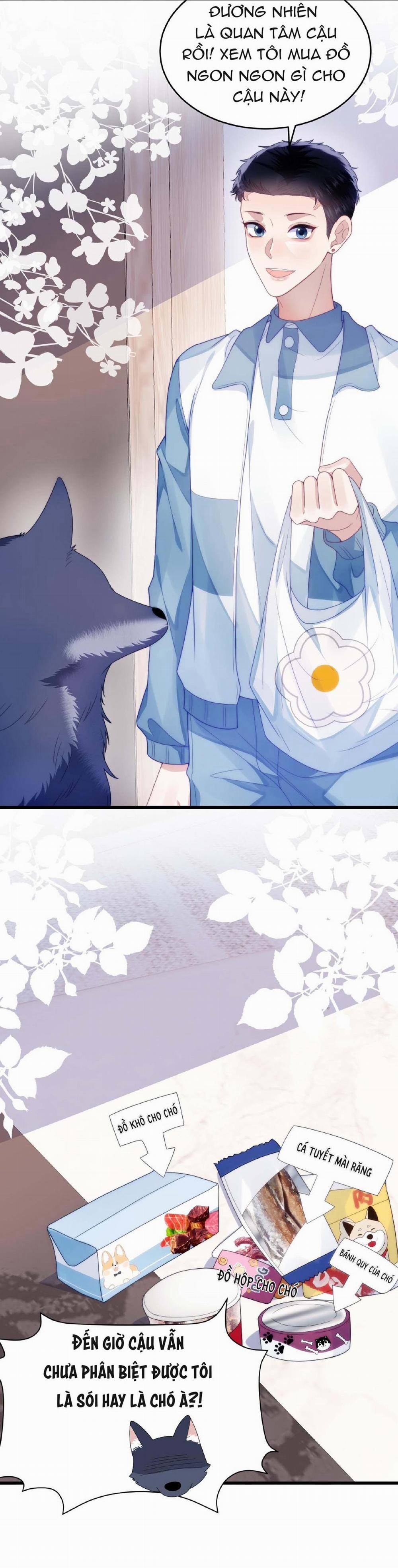 Mèo Hoang Nhỏ Của Học Bá Quá Trêu Người (END) 32 trang 17