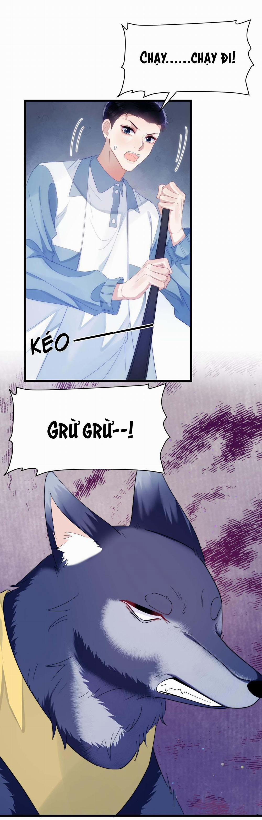 Mèo Hoang Nhỏ Của Học Bá Quá Trêu Người (END) 34 trang 1