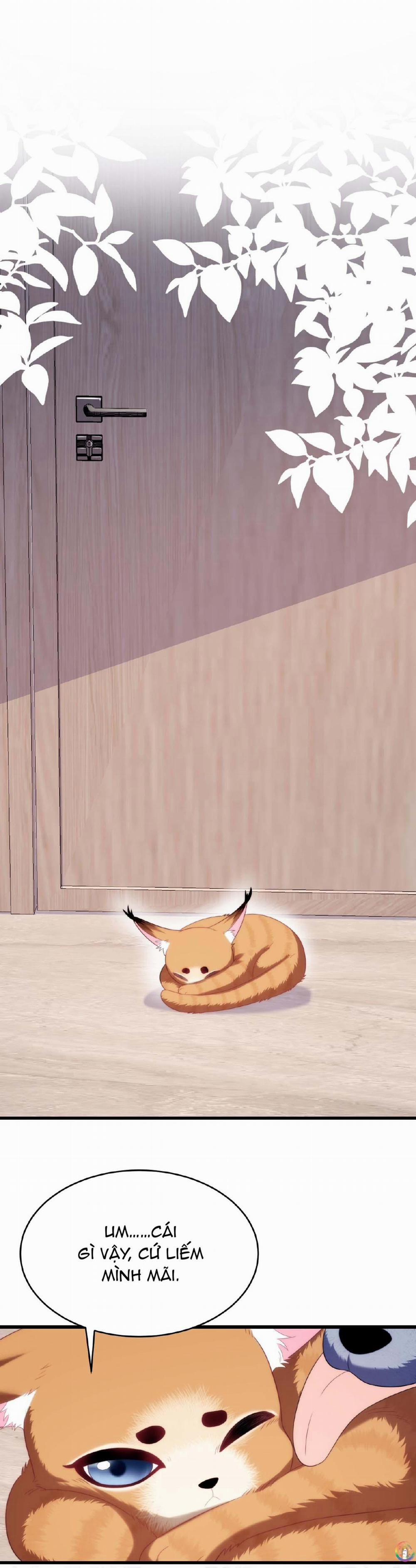 Mèo Hoang Nhỏ Của Học Bá Quá Trêu Người (END) 35 trang 1