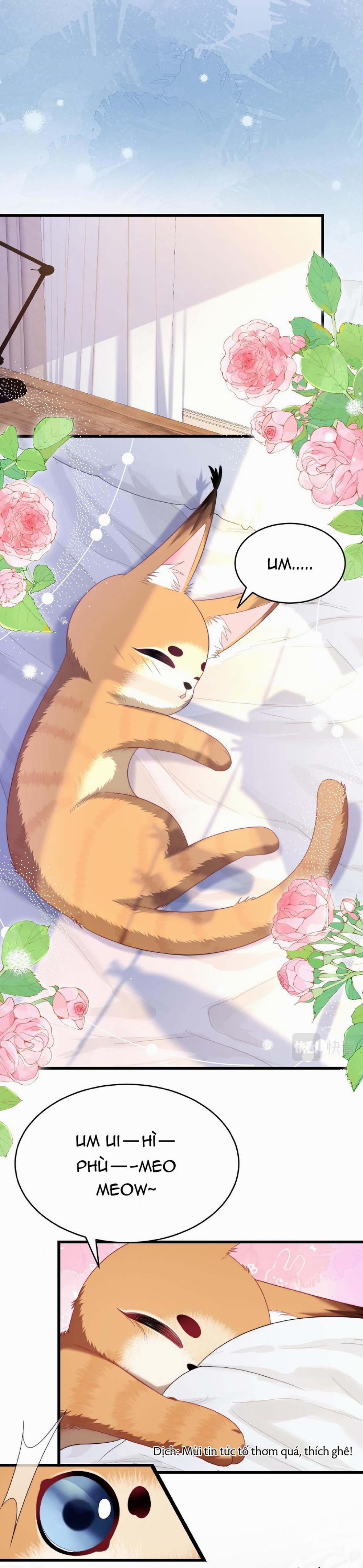 Mèo Hoang Nhỏ Của Học Bá Quá Trêu Người (END) 35 trang 14