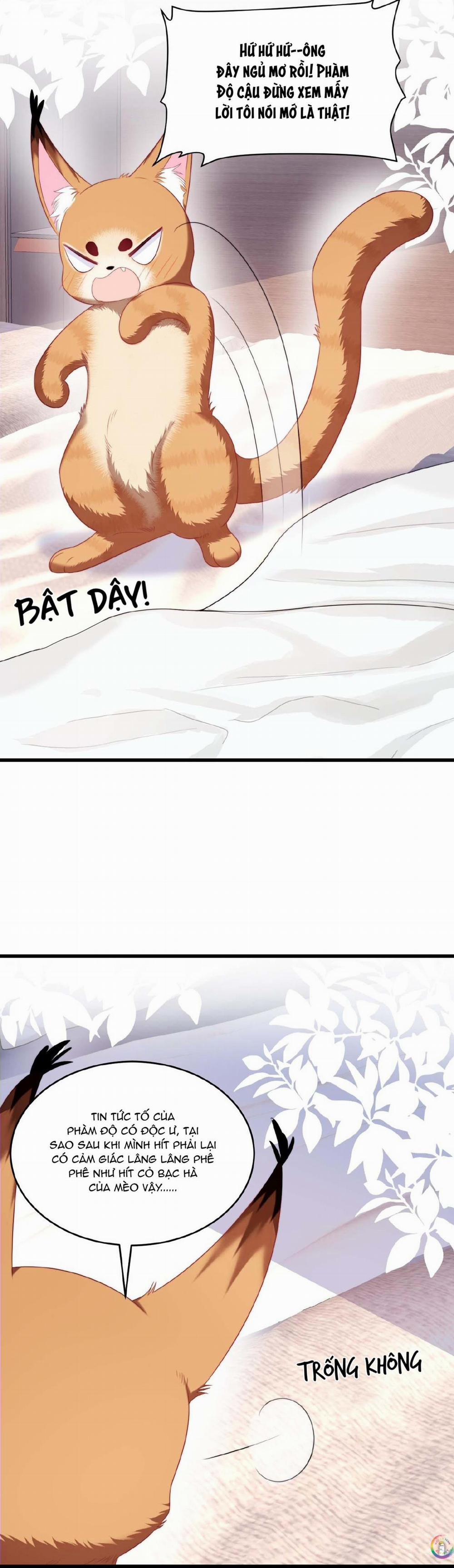 Mèo Hoang Nhỏ Của Học Bá Quá Trêu Người (END) 35 trang 15