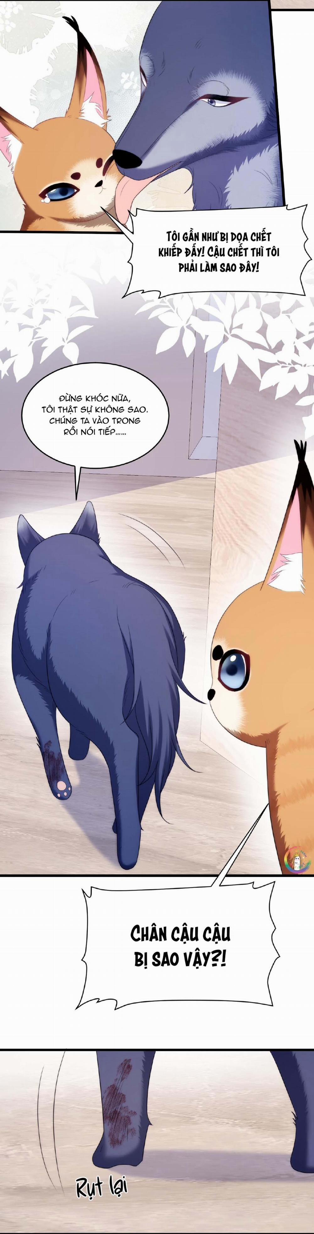 Mèo Hoang Nhỏ Của Học Bá Quá Trêu Người (END) 35 trang 3