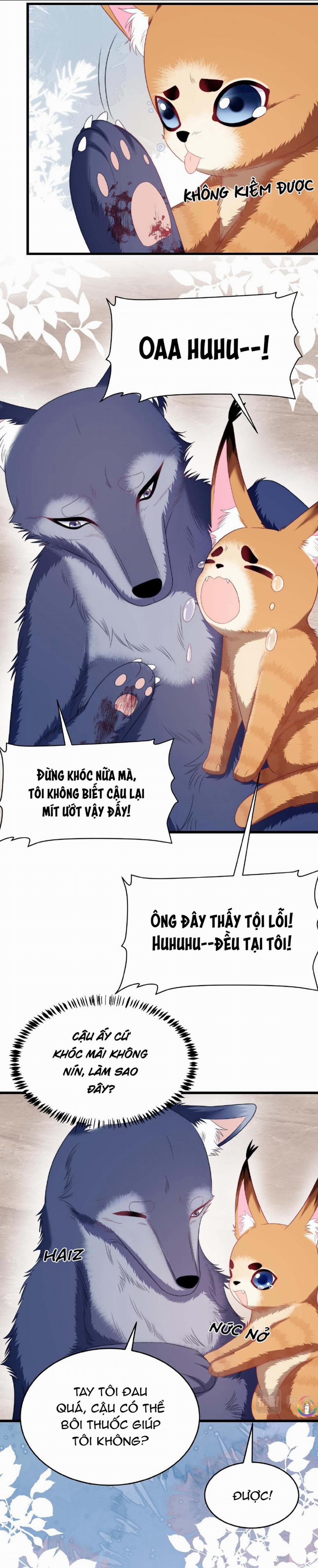 Mèo Hoang Nhỏ Của Học Bá Quá Trêu Người (END) 35 trang 6