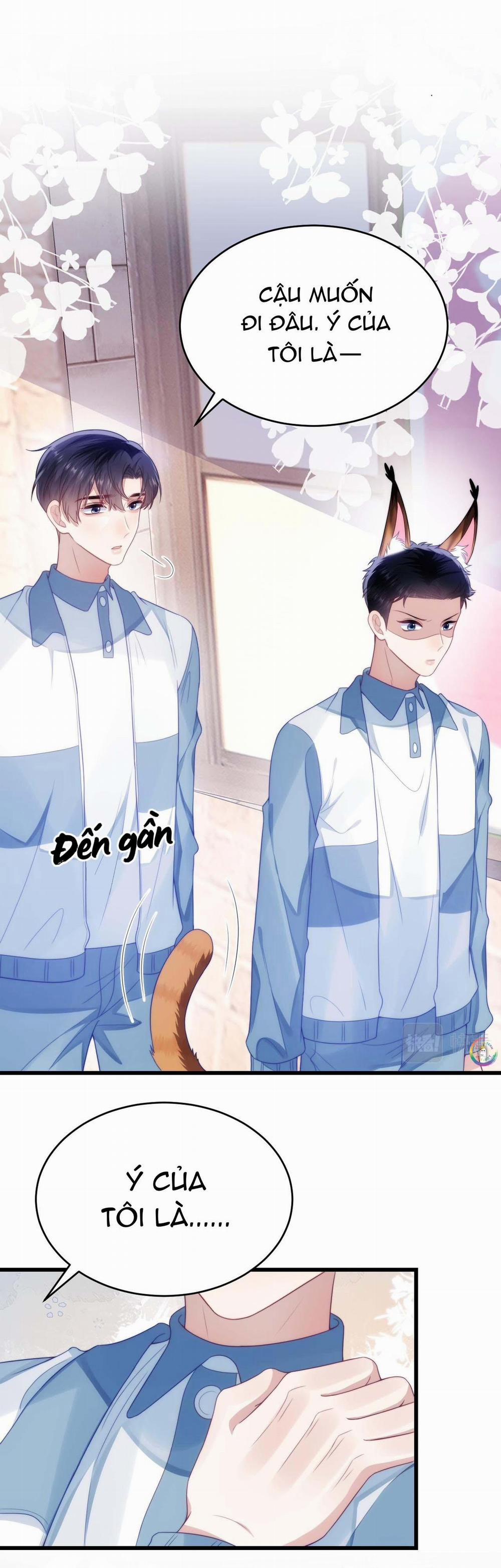 Mèo Hoang Nhỏ Của Học Bá Quá Trêu Người (END) 37 trang 1