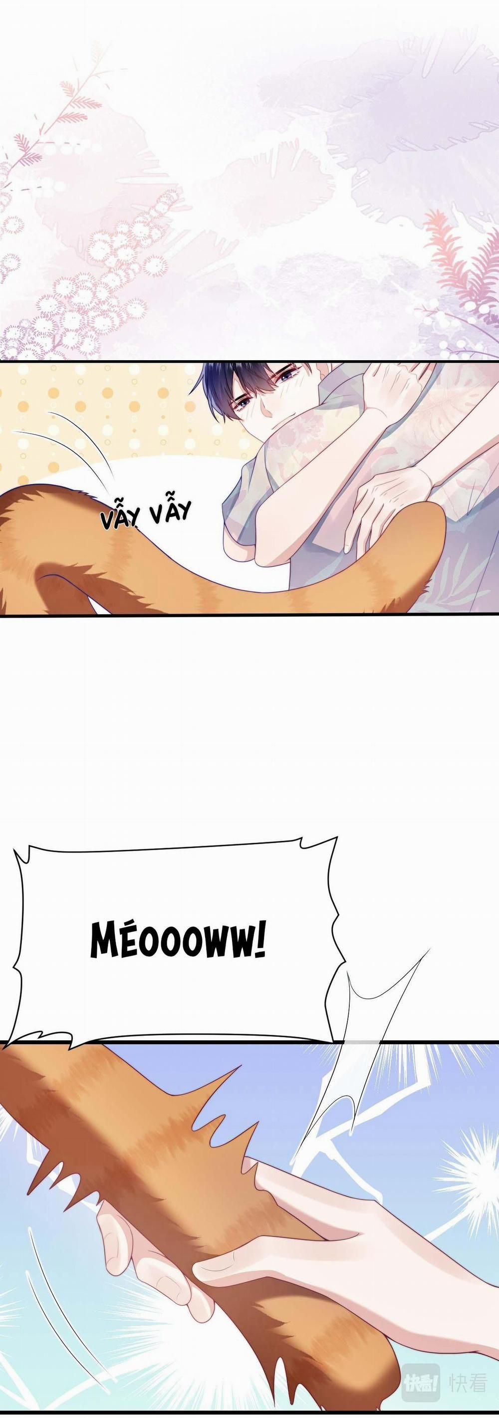 Mèo Hoang Nhỏ Của Học Bá Quá Trêu Người (END) 39 trang 16