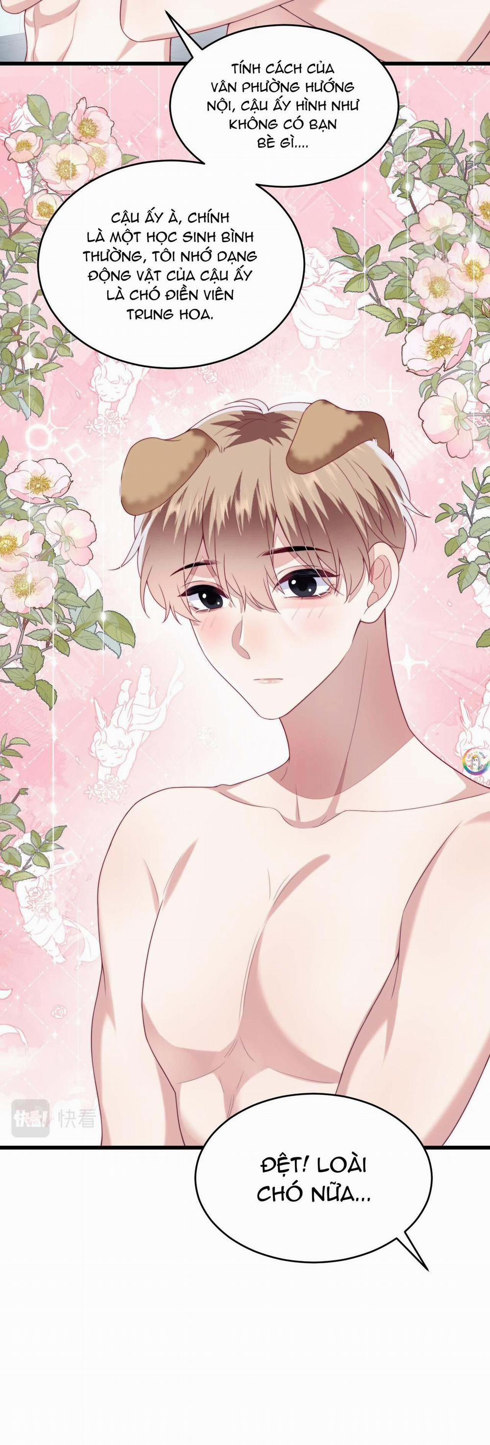 Mèo Hoang Nhỏ Của Học Bá Quá Trêu Người (END) 42 trang 10