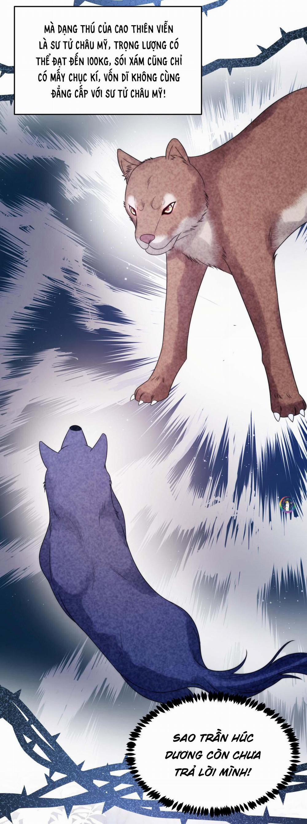 Mèo Hoang Nhỏ Của Học Bá Quá Trêu Người (END) 44 trang 24