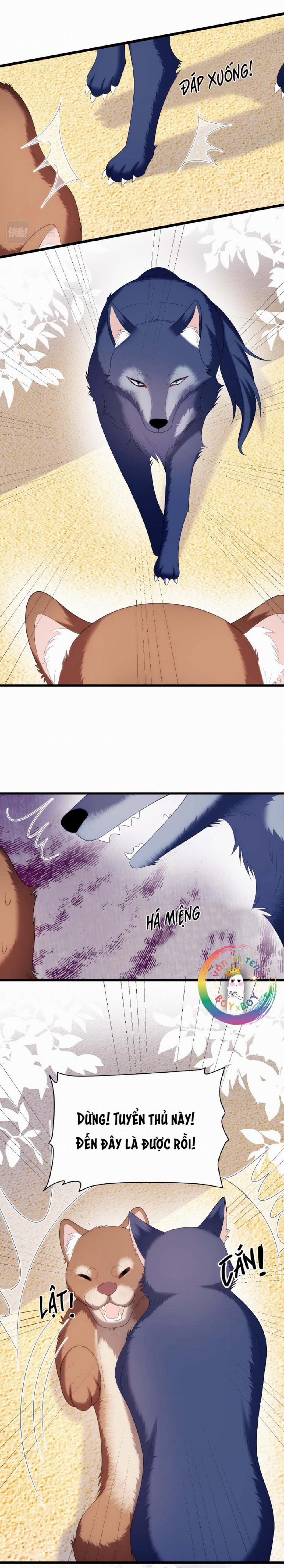 Mèo Hoang Nhỏ Của Học Bá Quá Trêu Người (END) 50 trang 18