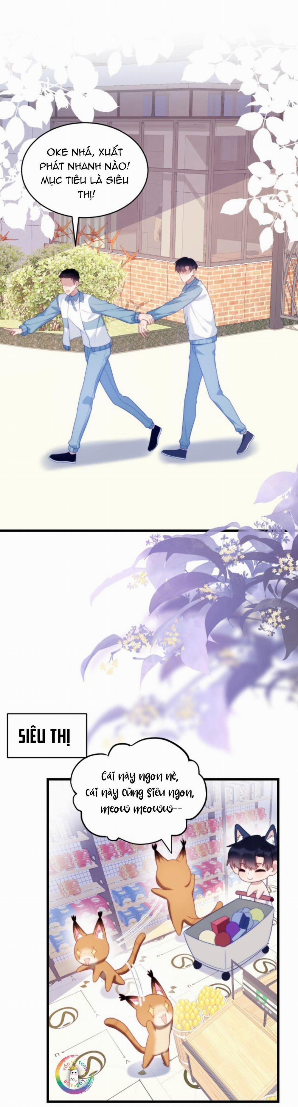 Mèo Hoang Nhỏ Của Học Bá Quá Trêu Người (END) 56 trang 8