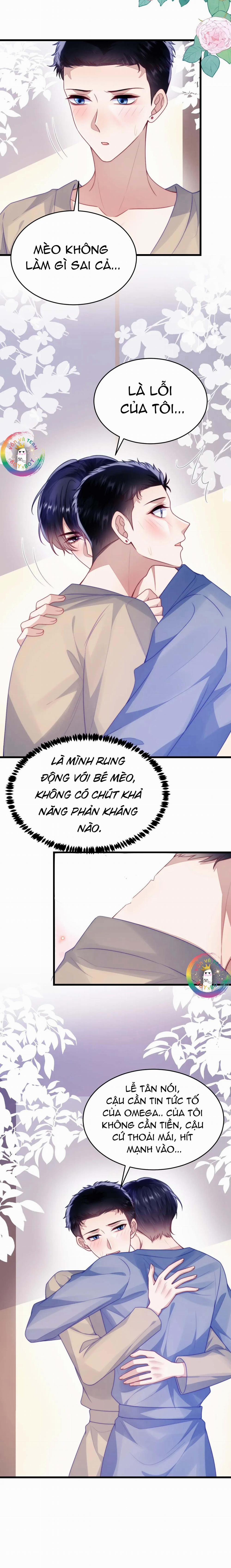 Mèo Hoang Nhỏ Của Học Bá Quá Trêu Người (END) 65 trang 3