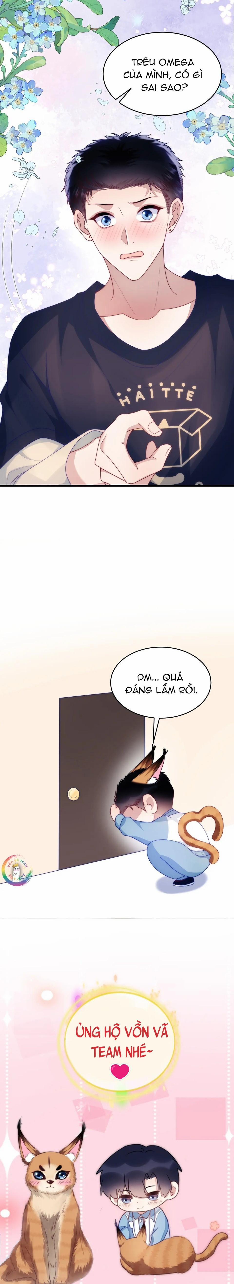 Mèo Hoang Nhỏ Của Học Bá Quá Trêu Người (END) 75 trang 18